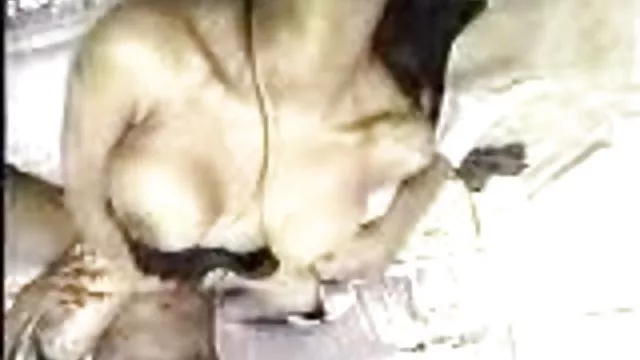 Najlepsze porno bez rejestracji Siam gole stare pizdy