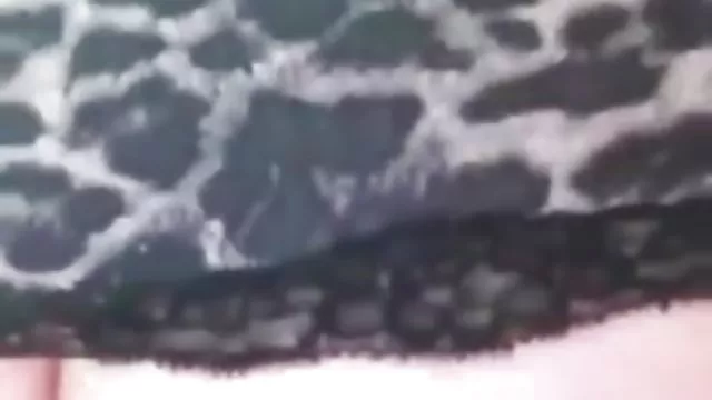 Najlepsze porno bez rejestracji Dziewczyny na Zachód-amator z Australii amatorki pary seks stare pizdy sex