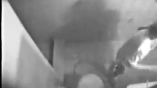 Najlepsze porno bez rejestracji Potrzebna kurczak naprawy owlosione stare cipy kostaryka